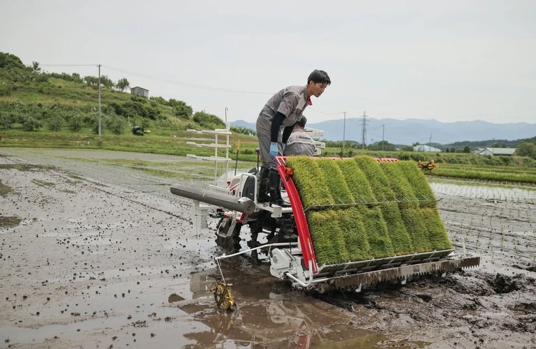 無農薬で栽培 | 米の通販なら仲俣農園